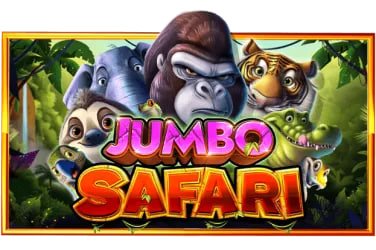 Step-by-step guide to joining a bingo room on bigbunny app in the Philippines